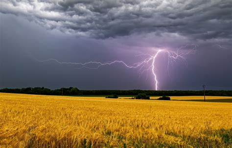 odds to get struck by lightning